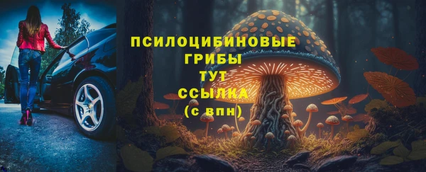 а пвп мука Алзамай