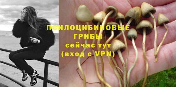 прущая мука Алексин